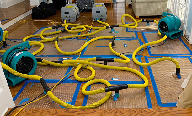 Professional Water Extraction technician working in Williamston, NC